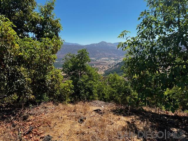 0 Pauma Heights Rd Property Photo 24