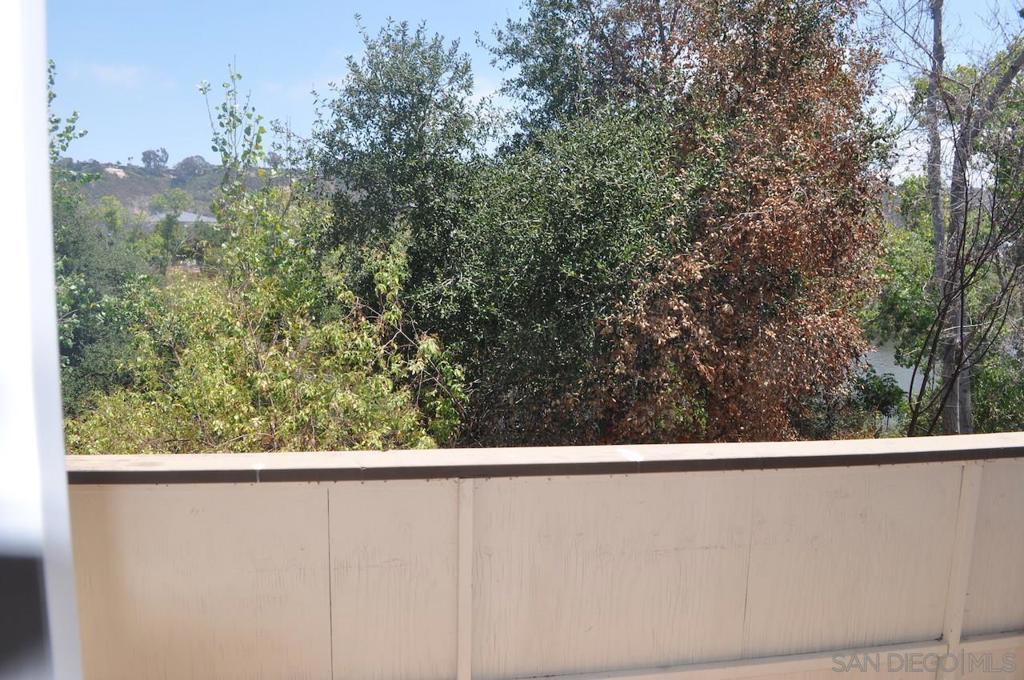 8039 Caminito De Pizza Property Photo 6