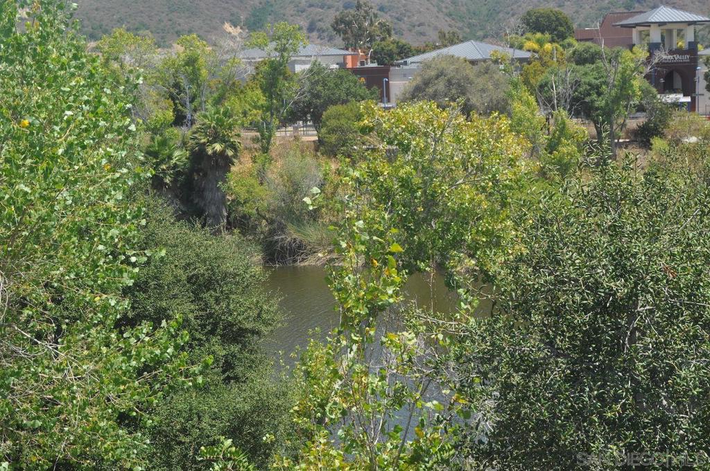 8039 Caminito De Pizza Property Photo 18