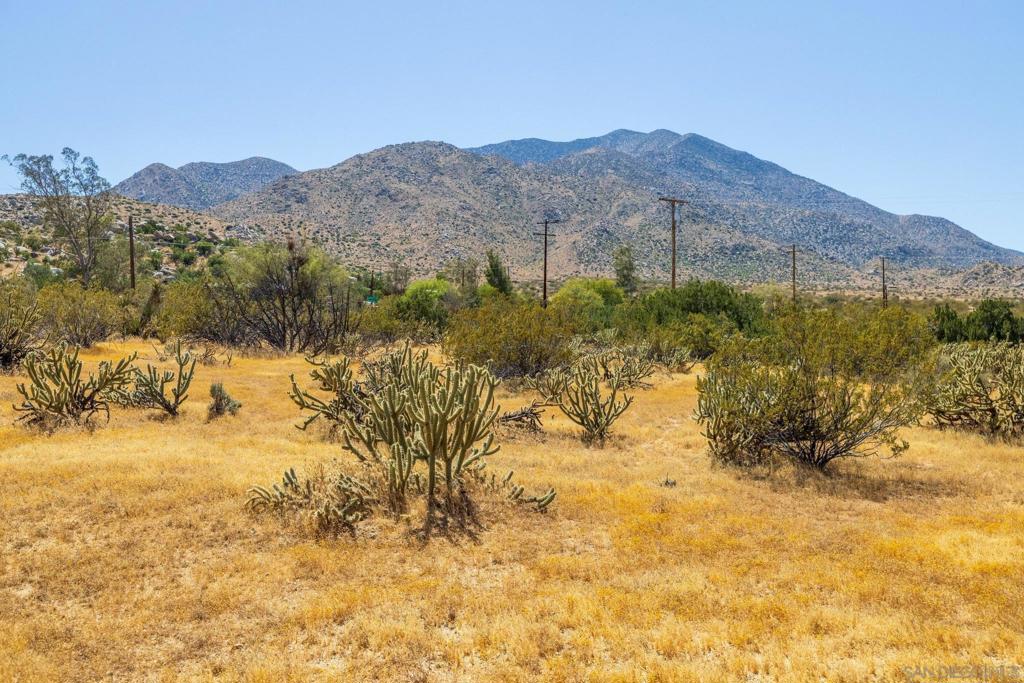7273 Hard Scramble Trl Property Photo 37