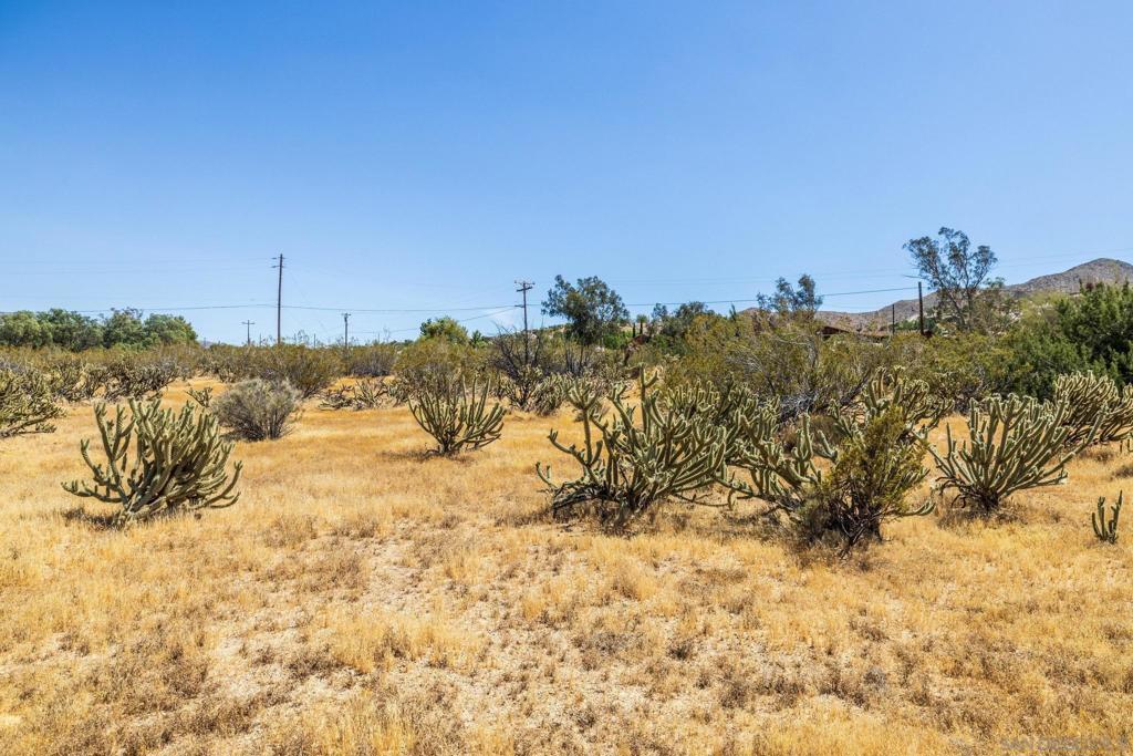 7273 Hard Scramble Trl Property Photo 38