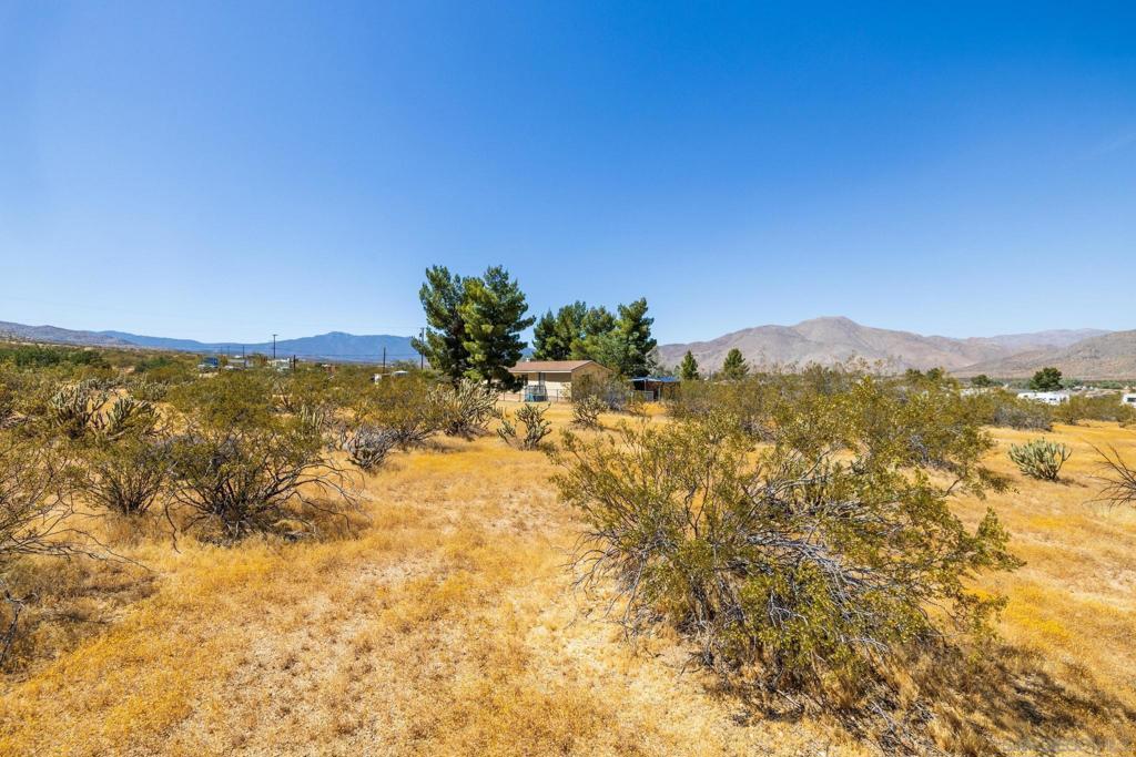 7273 Hard Scramble Trl Property Photo 39