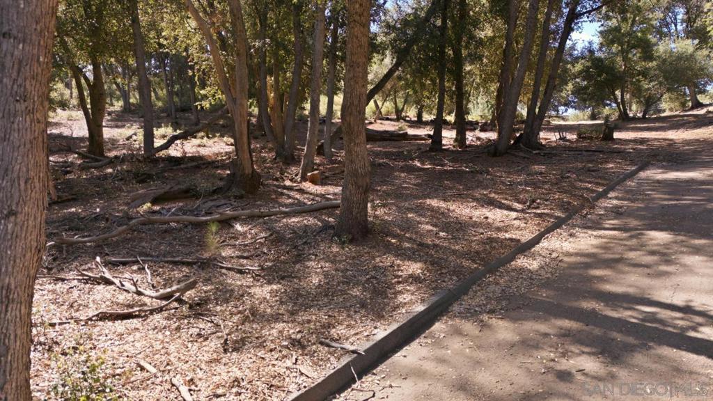 0 Toyan Mountain Lane Property Photo 2