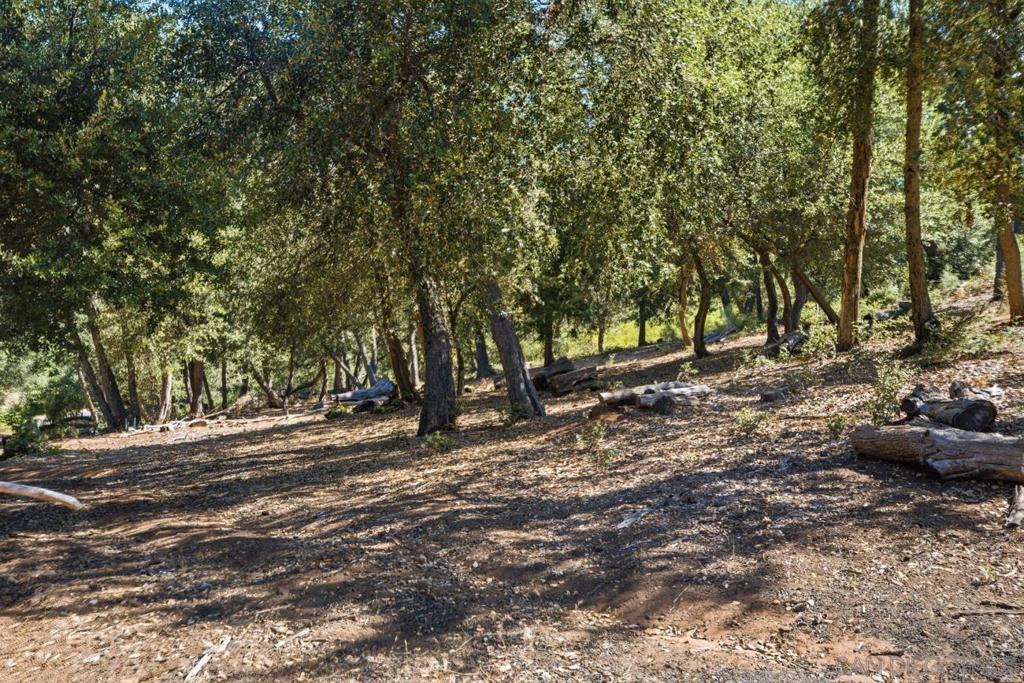 0 Toyan Mountain Lane Property Photo 4