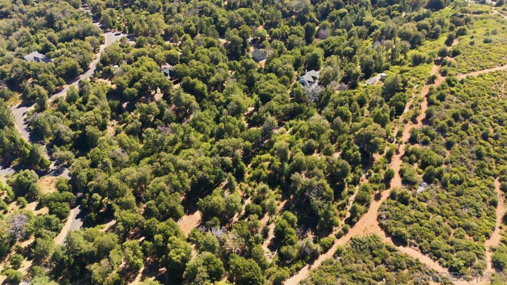 0 Toyan Mountain Lane Property Photo 6