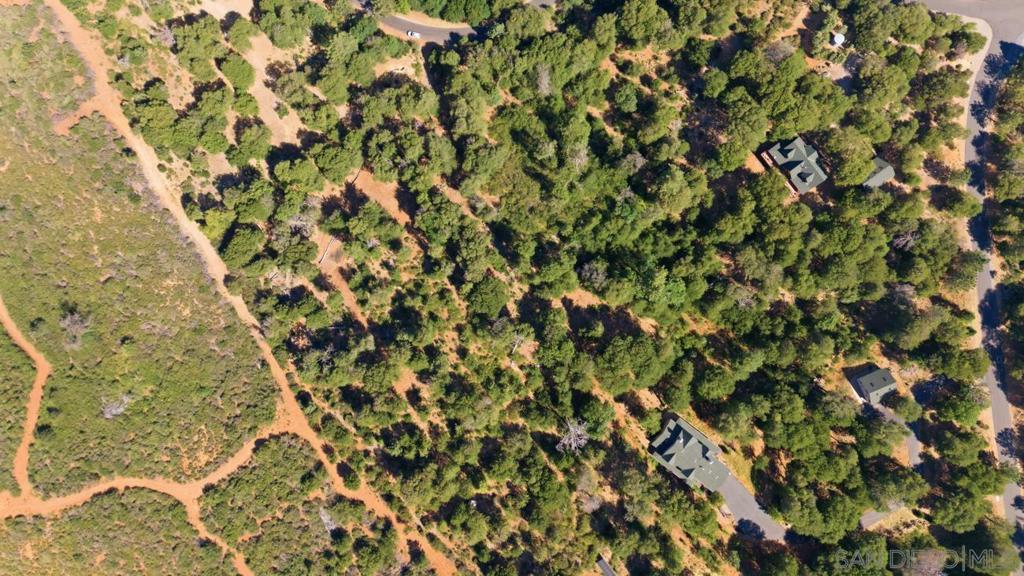 0 Toyan Mountain Lane Property Photo 7