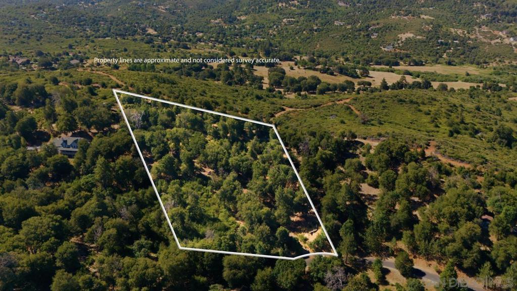 0 Toyan Mountain Lane Property Photo 10