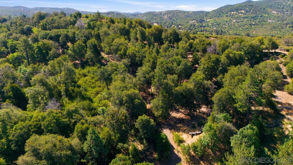 0 Toyan Mountain Lane Property Photo 12