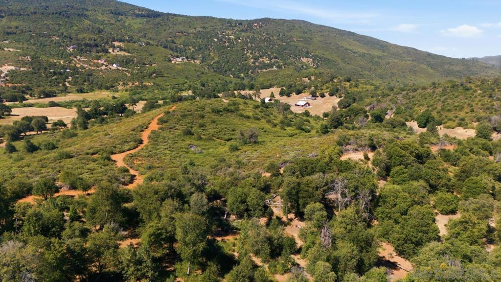 0 Toyan Mountain Lane Property Photo 15