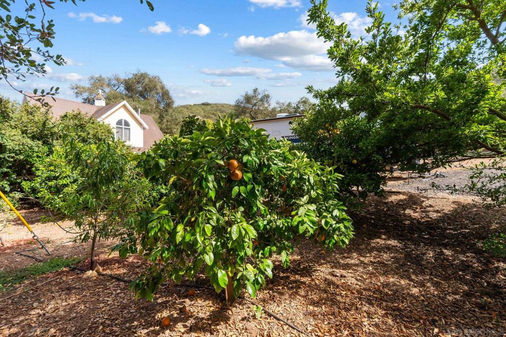 8952 Detwiler Rd Property Photo 18
