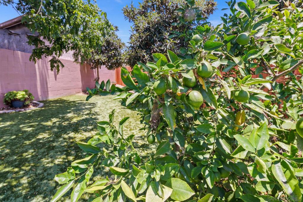 4418 Tremont St Property Photo 26