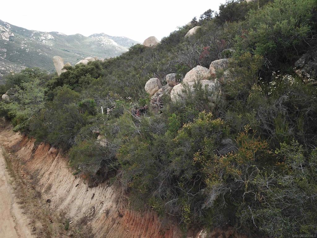 0 Skyline Property Photo 3
