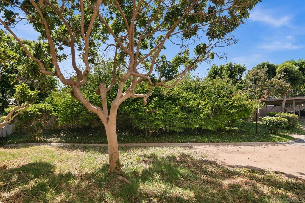 665 Pacific View Dr Property Photo 24