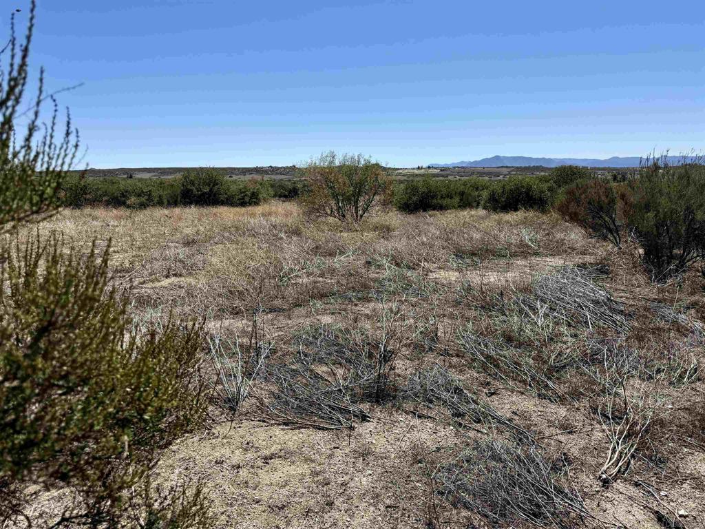 0 Mcconamara Drive Property Photo 8