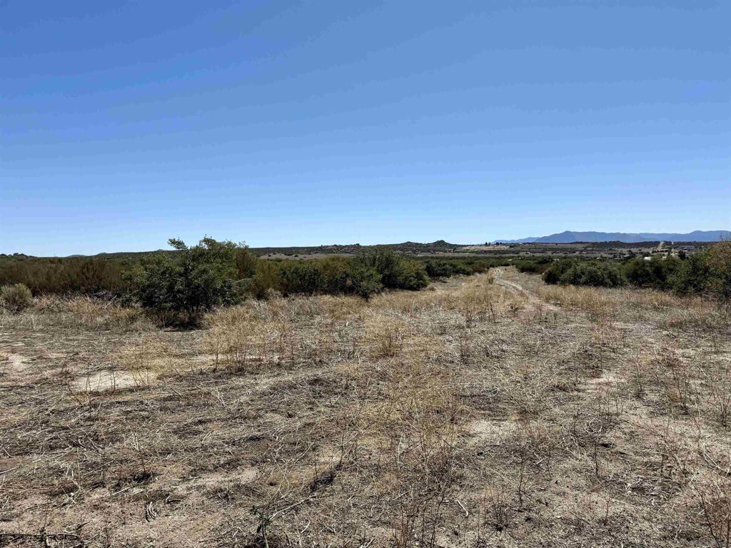 0 Mcconamara Drive Property Photo 12