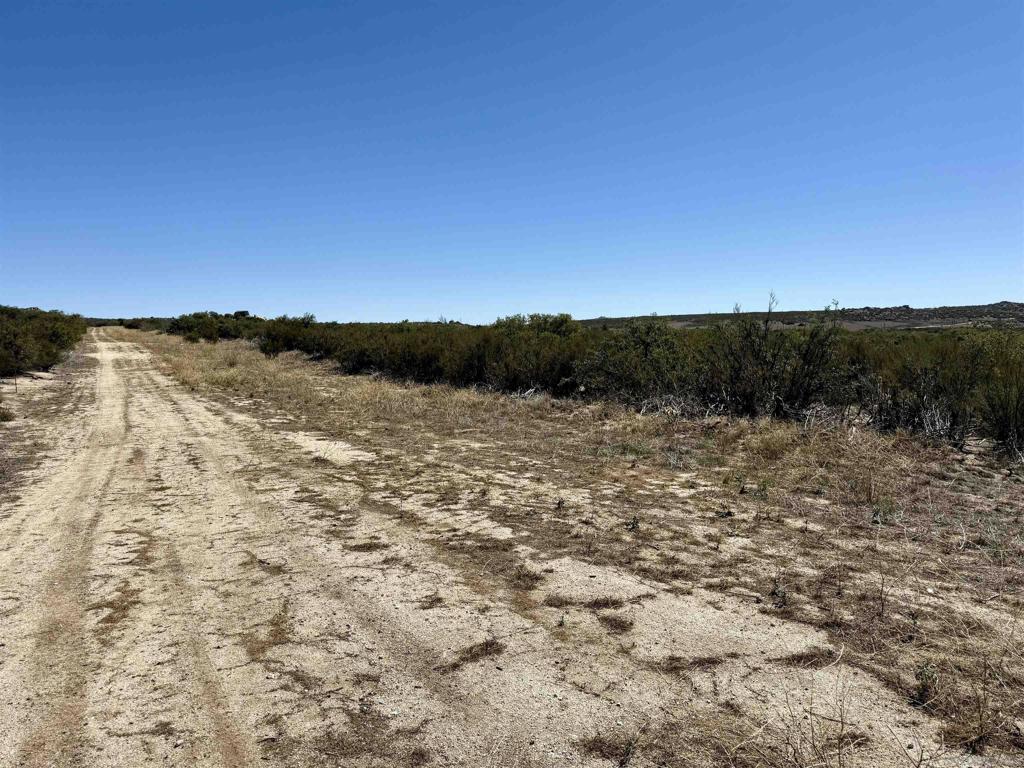 0 Mcconamara Drive Property Photo 14