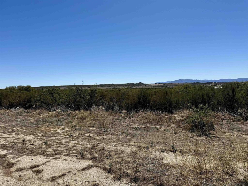 0 Mcconamara Drive Property Photo 15