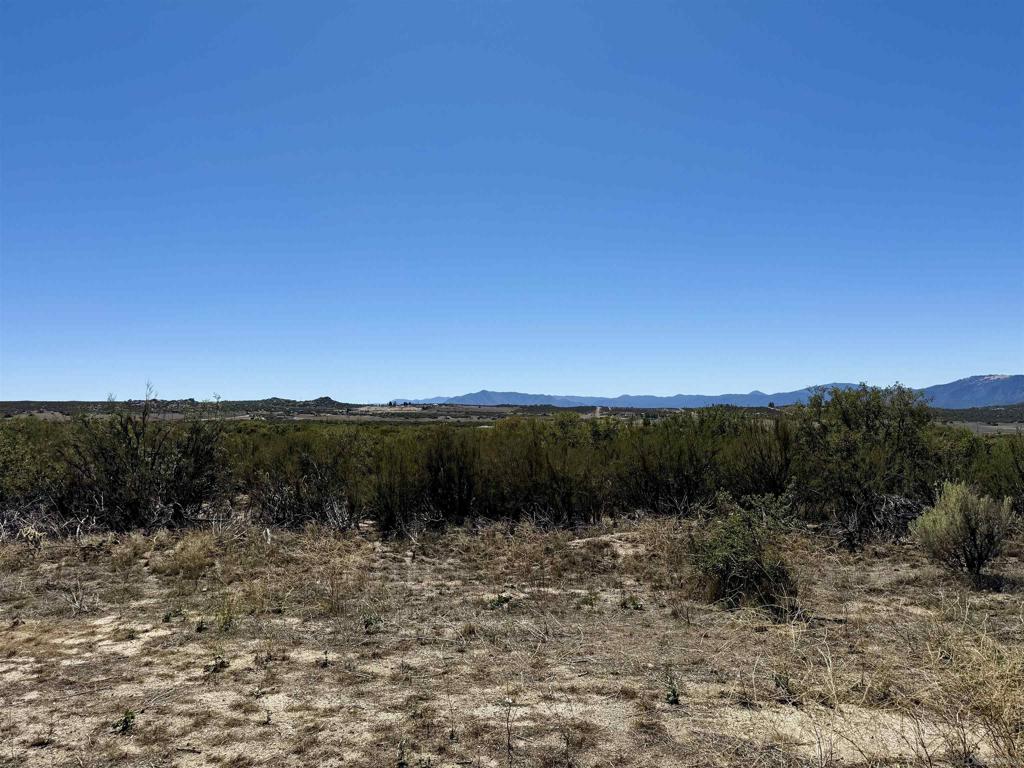 0 Mcconamara Drive Property Photo 16
