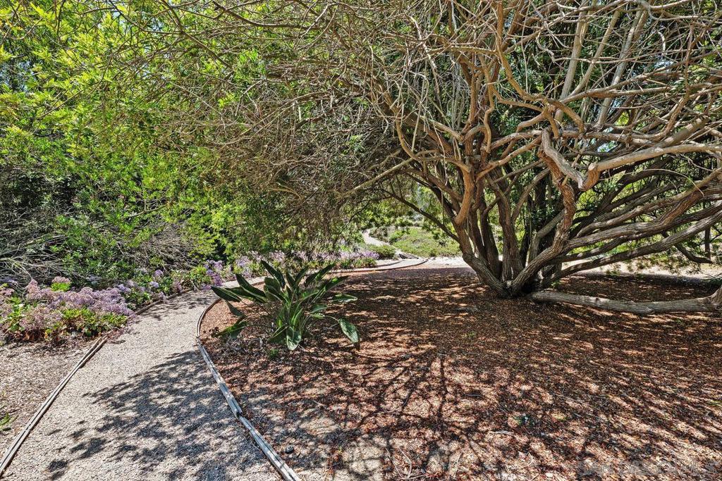 17240 Avenida De Acacias Property Photo 45