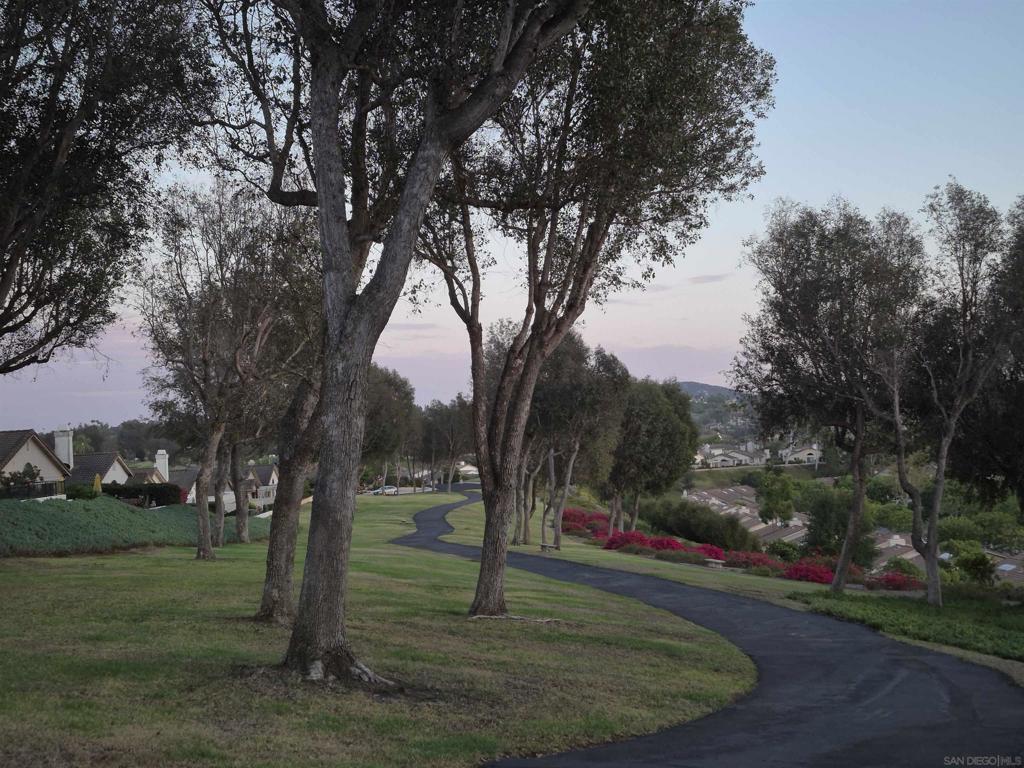 12737 Via Nasca Property Photo 21