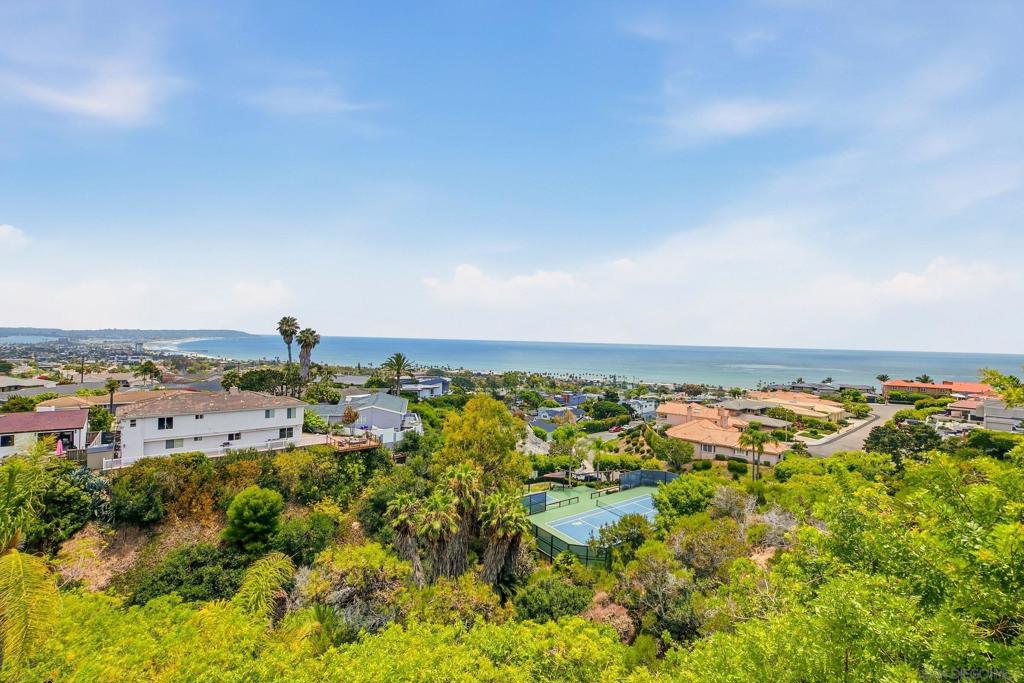 1011 Avenida Amantea Property Photo 45