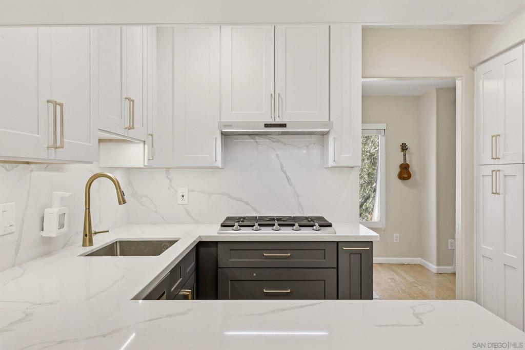 10657 Caminito Memosac Property Photo 41