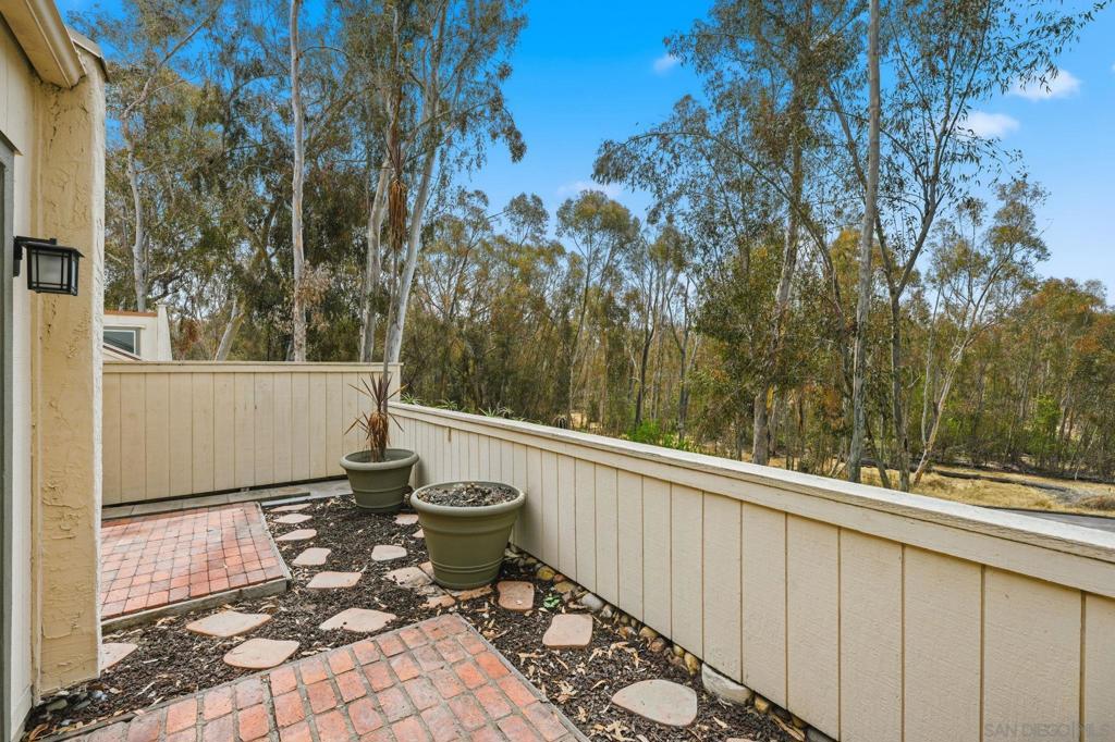 10217 Caminito Covewood Property Photo 6