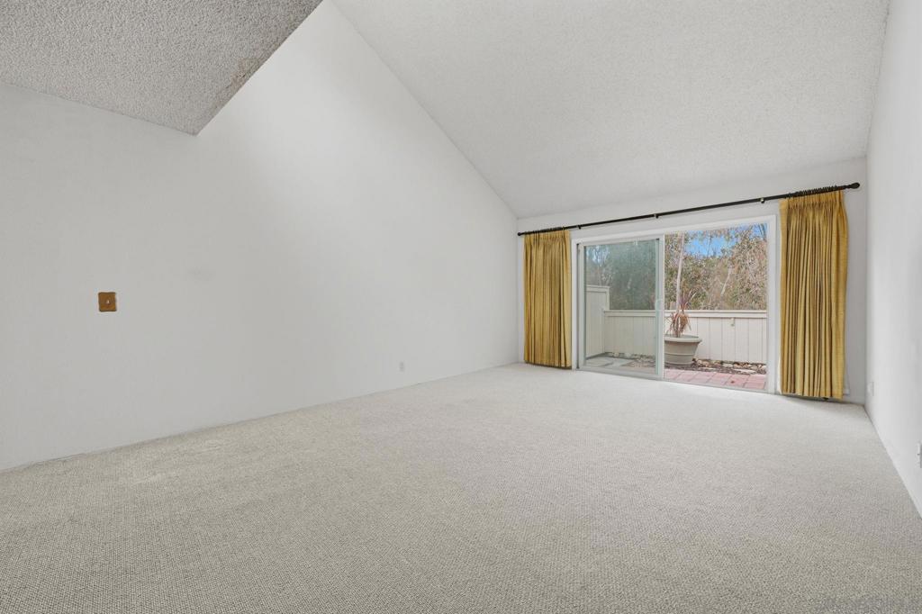 10217 Caminito Covewood Property Photo 16