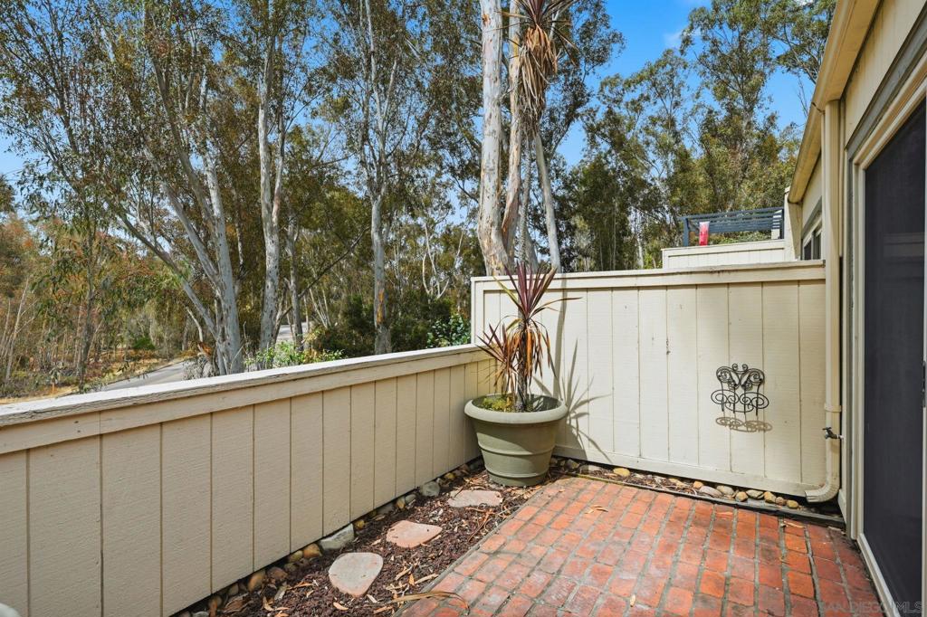 10217 Caminito Covewood Property Photo 29