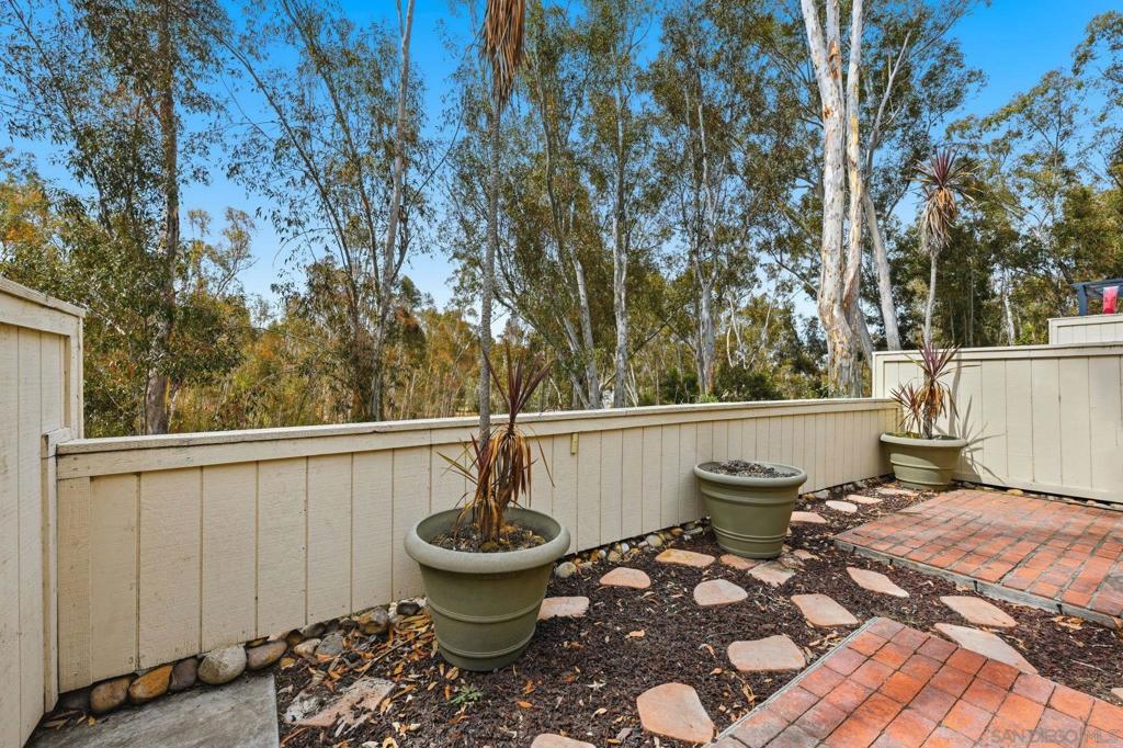 10217 Caminito Covewood Property Photo 35
