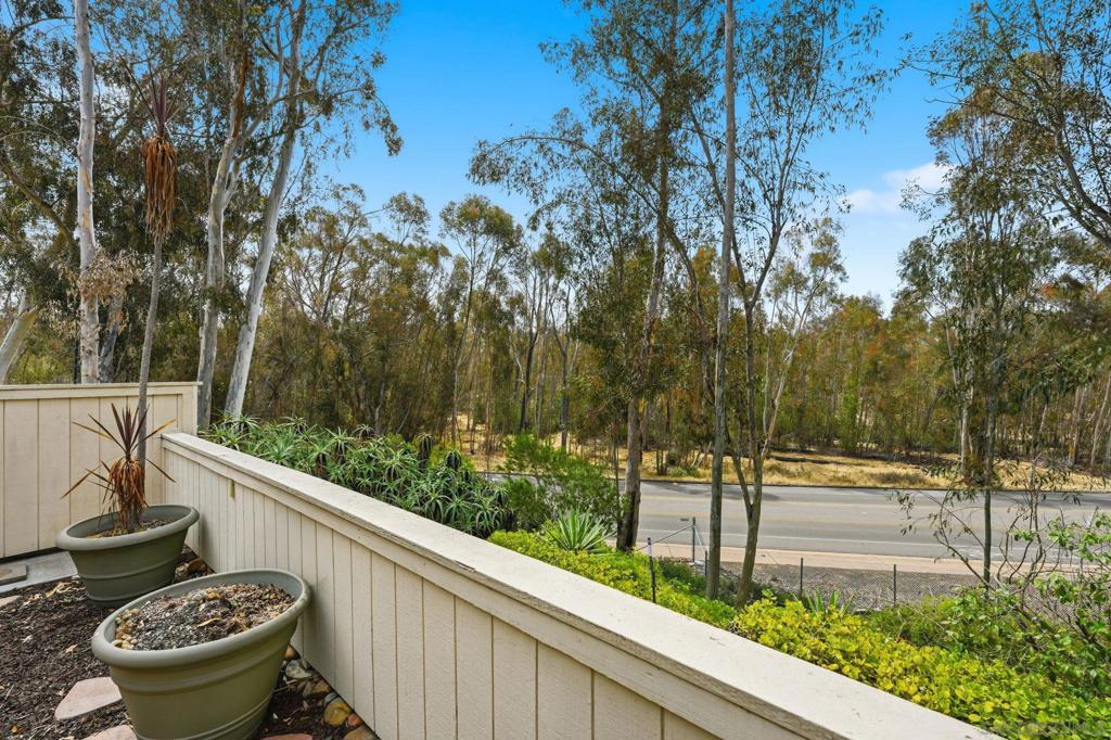 10217 Caminito Covewood Property Photo 39
