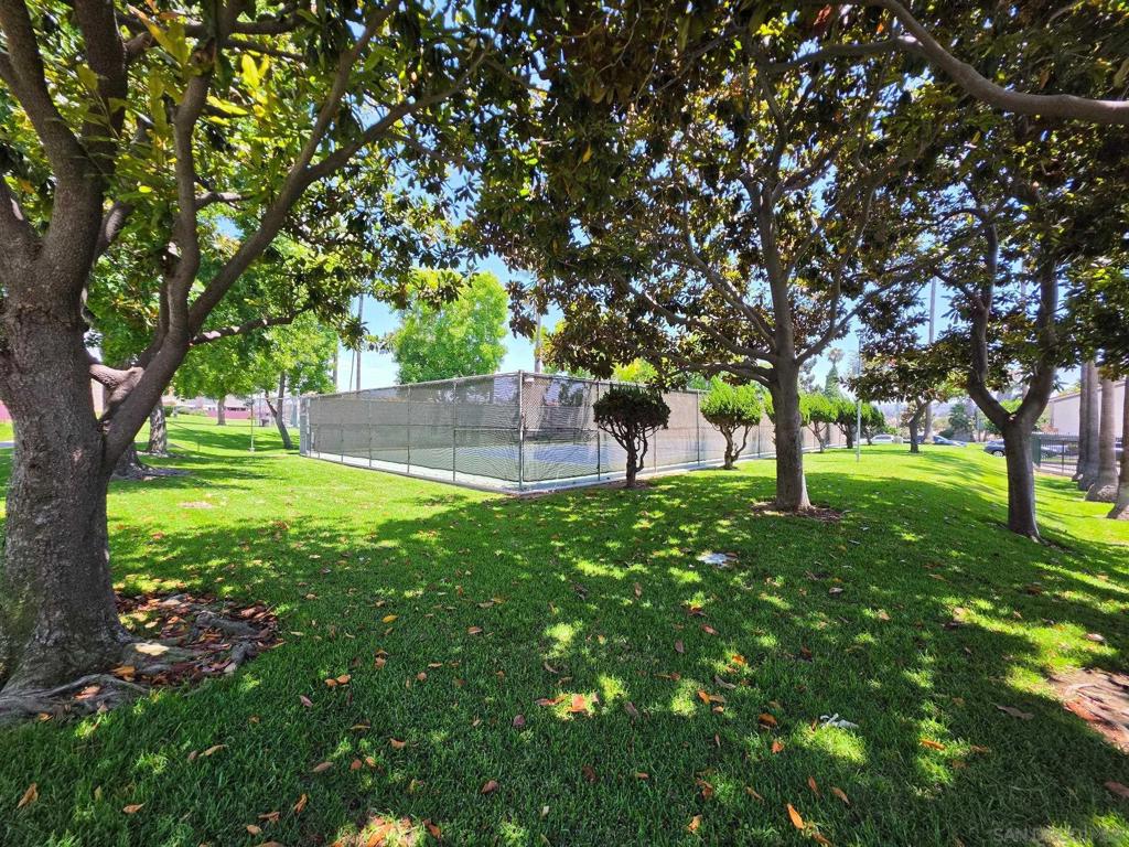 2531 Caminito Hiedra Property Photo 26
