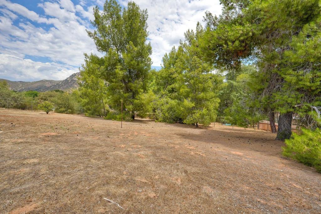 16239 Daza Dr Property Photo 34