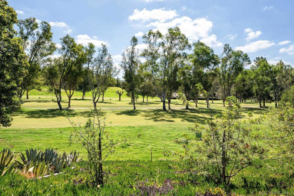8647 Circle R Valley Property Photo 29