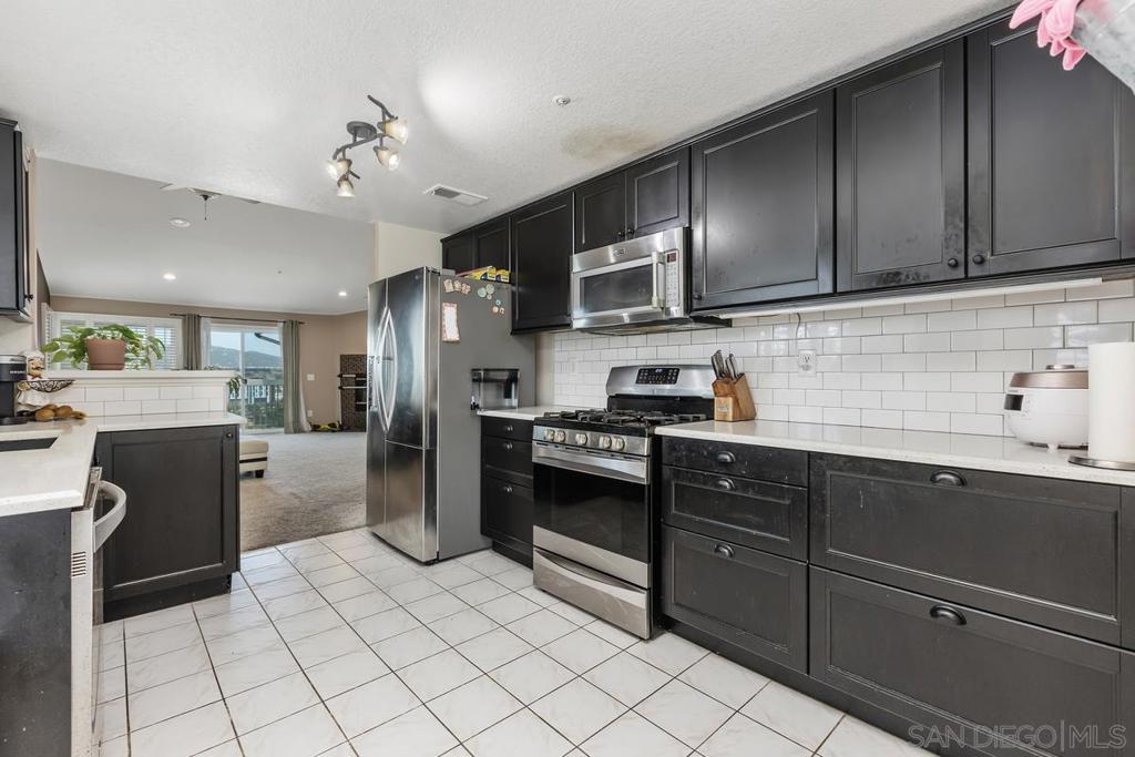 16424 Avenida Venusto E Property Photo 19