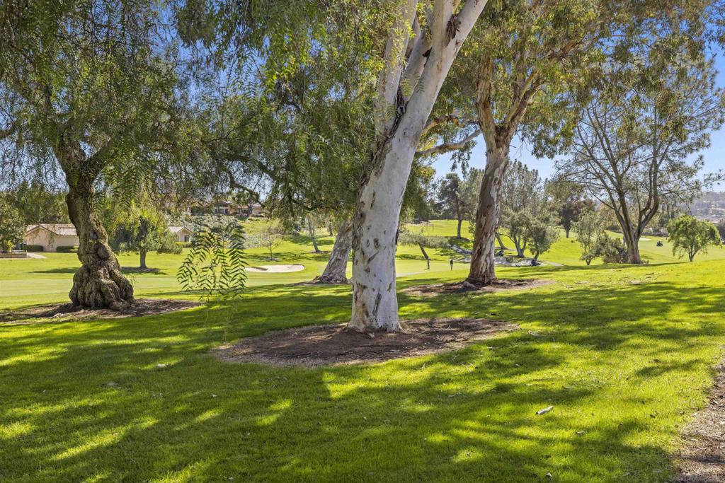 17305 Campillo Drive Property Photo 36