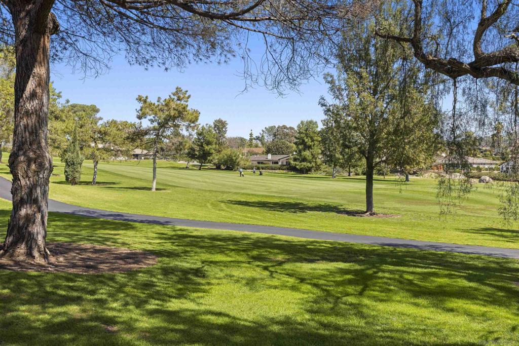 17305 Campillo Drive Property Photo 37