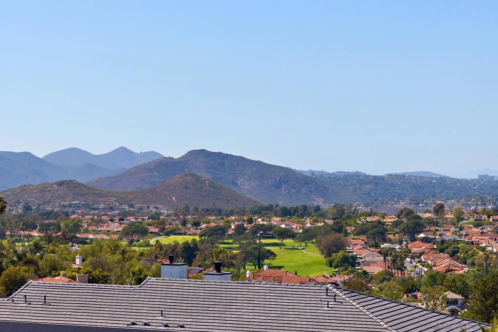 17505 Corte Lomas Verdes Property Photo 33
