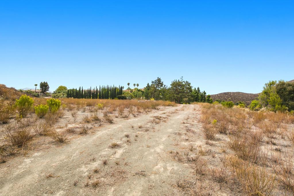 14788 Presilla Dr Property Photo 11