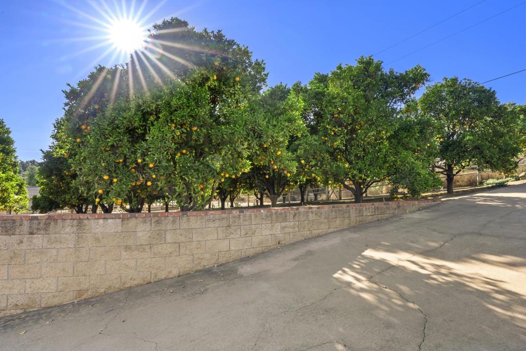 29481 Miller Property Photo 51