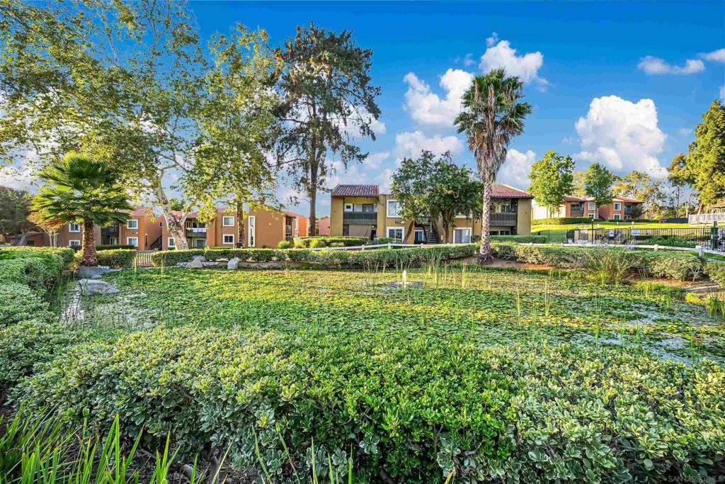 17195 W Bernardo Dr 101 Property Photo 27