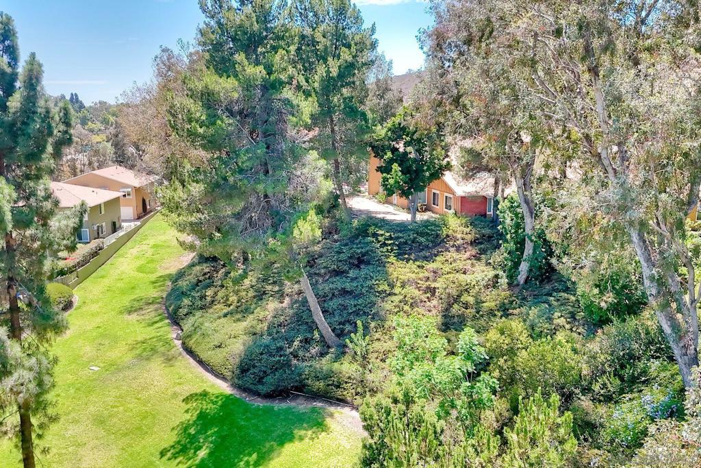 13754 Caminito Vizzini Property Photo 17