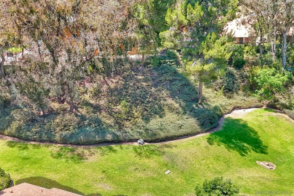 13754 Caminito Vizzini Property Photo 21