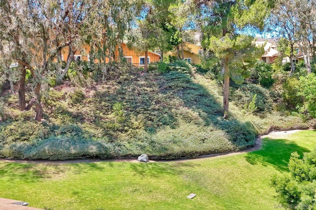 13754 Caminito Vizzini Property Photo 23