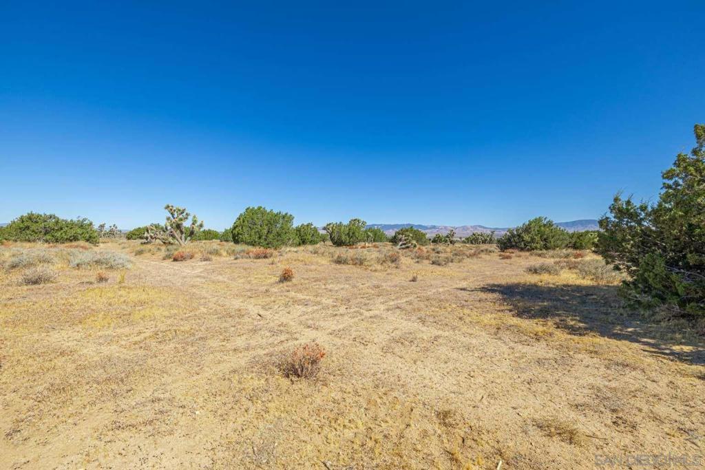 0 Tbd Property Photo 2