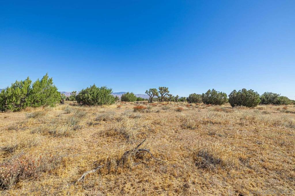 0 Tbd Property Photo 3