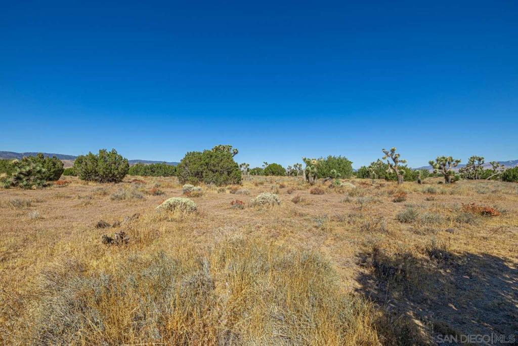 0 Tbd Property Photo 4