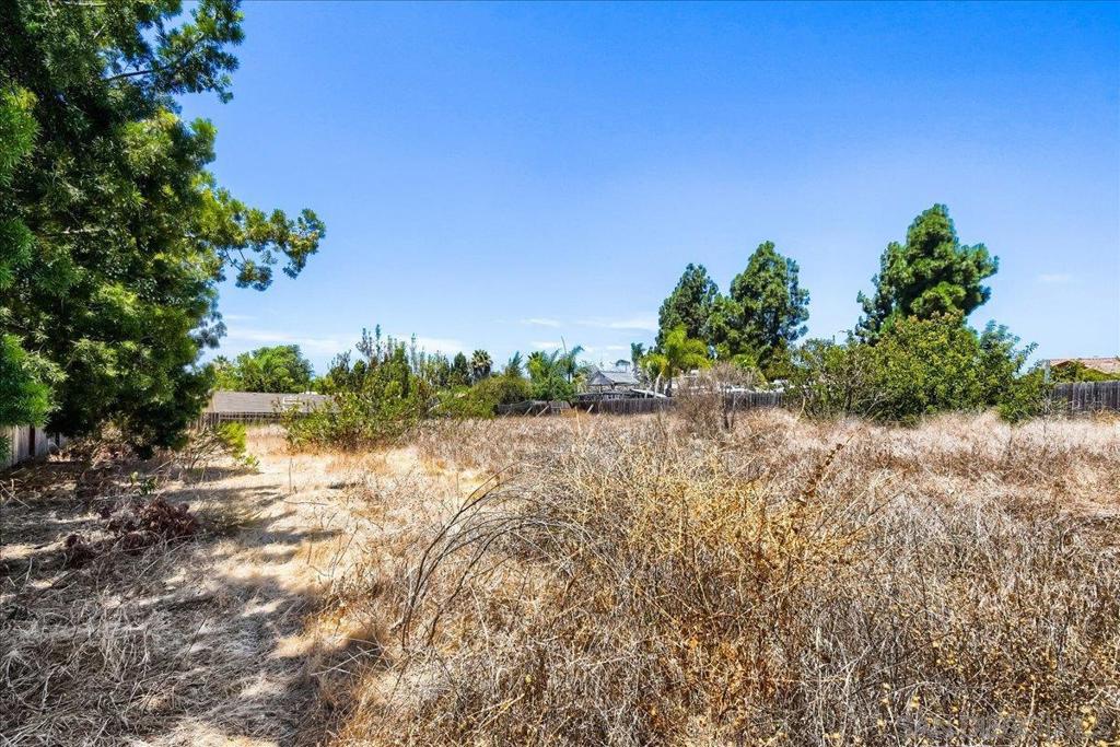 1555 Del Mar Road Property Photo 30