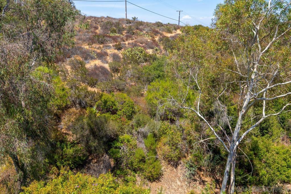 1545 Gregory St. Property Photo 40