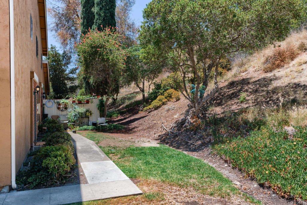 10524 Caminito Rimini Property Photo 24